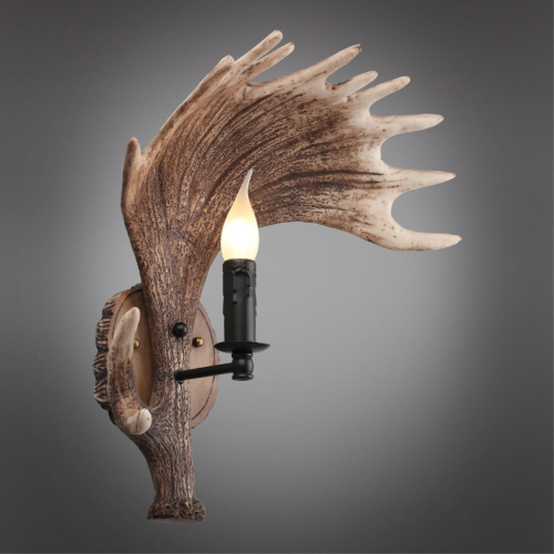 Светильник настенный (Бра) OML-52201-01 фото 3 Светильник настенный (Бра) OML-52201-01 фото 3