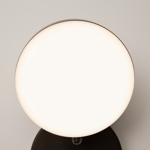 Настенный светильник (бра) Maytoni MOD070WL-L8B3K фото 11