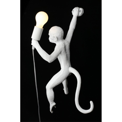 Светильник настенный (Бра) APL.309.11.01 фото 4 Светильник настенный (Бра) APL.309.11.01 фото 4