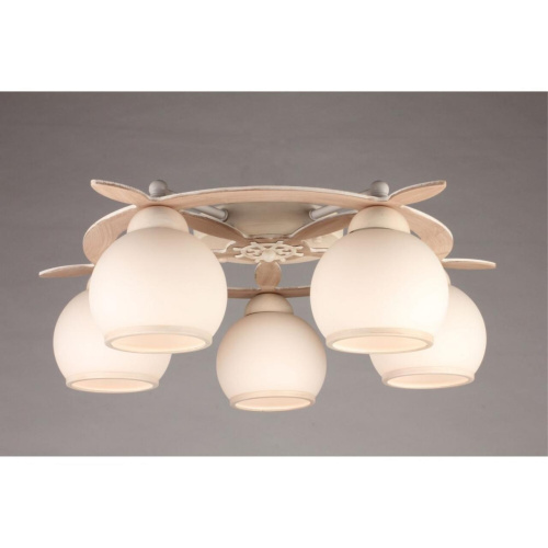 Люстра потолочная OML-50517-05 фото 6