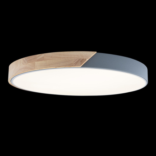 10004/36 Grey Потолочный светильник LOFT IT Axel фото 2