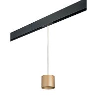 Комплект с трековым светильником Lightstar Rullo (213490+595887) PRORP3490