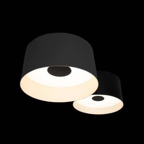 10360/2 Потолочный светильник LOFT IT Duo фото 4