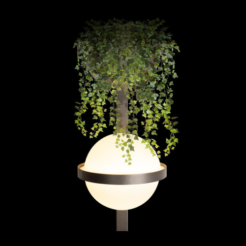 10121W/B Dark grey Настенный светильник LOFT IT Jardin фото 2