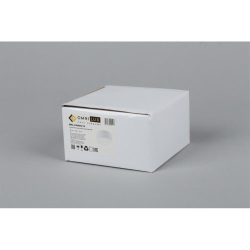 Светильник встраиваемый-накладной OML-100909-12 фото 2 Светильник встраиваемый-накладной OML-100909-12 фото 2