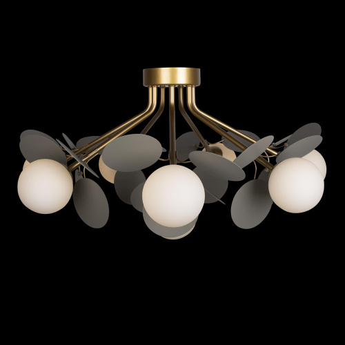 10008/8C Grey Потолочный светильник LOFT IT Matisse фото 4 10008/8C Grey Потолочный светильник LOFT IT Matisse фото 4