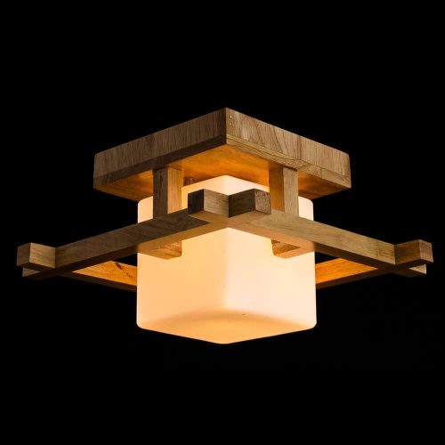 Потолочный светильник Arte Lamp 95 A8252PL-1BR фото 2