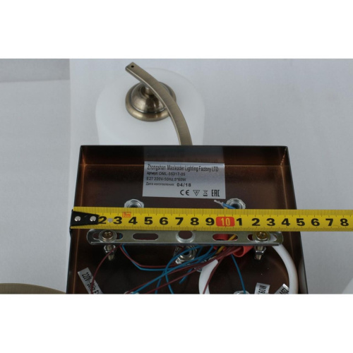 Люстра потолочная OML-55317-05 фото 4