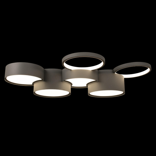 10317/7 Grey Потолочный светильник LOFT IT Pin фото 2 10317/7 Grey Потолочный светильник LOFT IT Pin фото 2