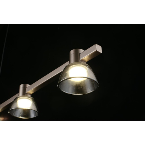 Люстра подвесная APL.788.03.06 фото 10