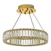 Подвесной светодиодный светильник Dio DArte Elite Caneva L 1.5.40.100 G