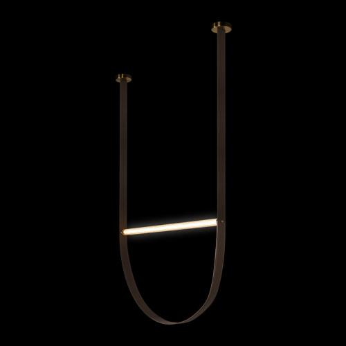 10221/2050 Подвесной светильник LOFT IT Liana фото 2