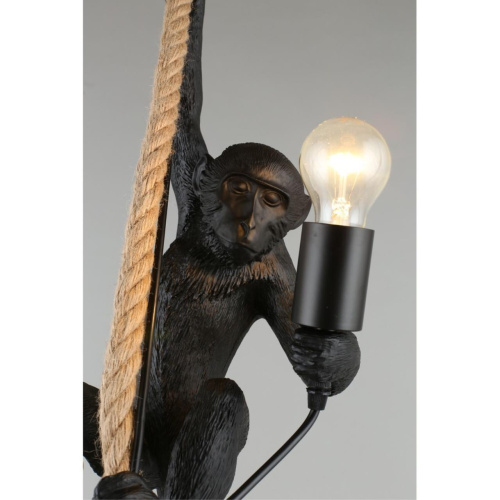 Светильник подвесной APL.309.16.01 фото 7