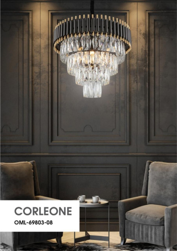 Люстра подвесная OML-69803-08 фото 4