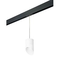 Комплект с трековым светильником Lightstar Rullo (213486+595887+201486) PRORP348686