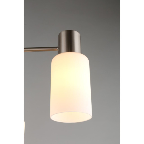 Люстра потолочная OML-69117-08 фото 6