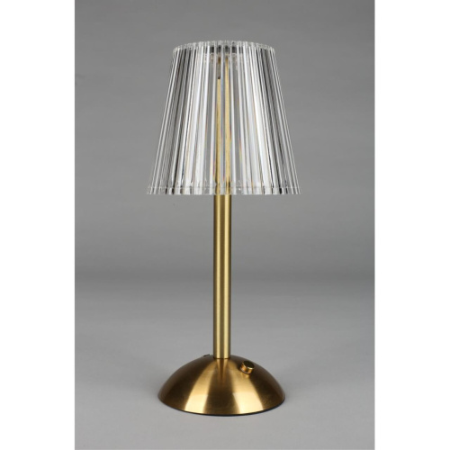 Настольная лампа OML-40004-01 Настольная лампа OML-40004-01