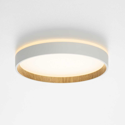 Потолочный светодиодный светильник Citilux Etalon CL750240 фото 10