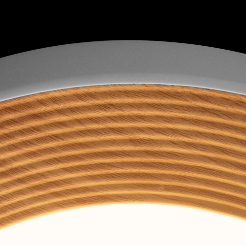 10255/500 White Потолочный светильник LOFT IT Folk фото 6 10255/500 White Потолочный светильник LOFT IT Folk фото 6