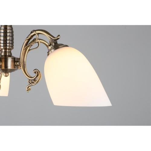 Люстра подвесная OML-56407-05 фото 6 Люстра подвесная OML-56407-05 фото 6