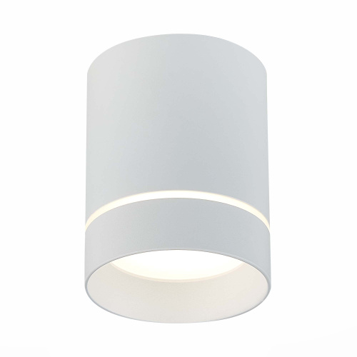 ST115.542.12 Светильник потолочный Белый LED 1*12W 4000K 840Lm Ra>90 120° IP20 D79xH100 170-240V Накладные светильники фото 3