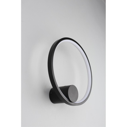 Светильник настенный (Бра) APL.055.11.09 фото 5