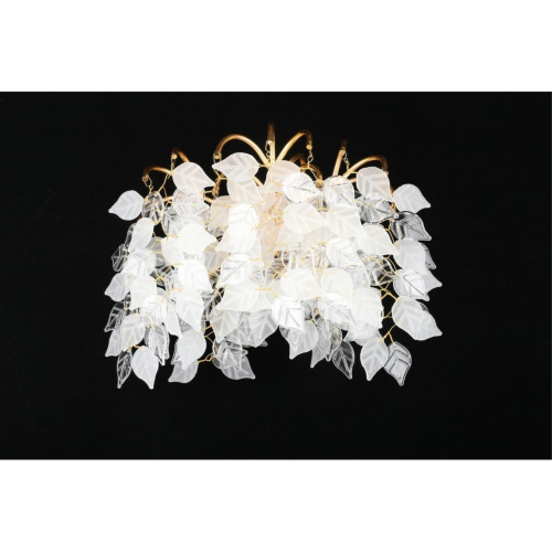 Светильник настенный (Бра) APL.849.01.03 фото 4