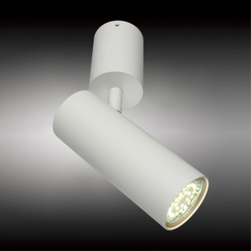 Светильник настенно-потолочный APL.007.02.01 фото 2