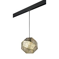 Комплект с трековым светильником Lightstar Fermo (724112+595007) PRO724112