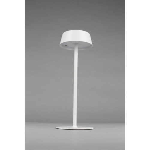 Настольная лампа OML-40514-01 фото 9