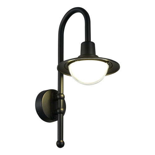 SL9512.401.01 Светильник уличный настенный ST-Luce черный/Прозрачный LED 1*10W 4000K PROCHE фото 3