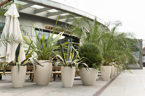 Кашпо UPON SAHARA фото 2