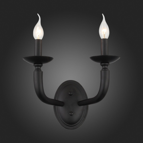 SL1114.401.02 Бра ST-Luce Черный E14 2*40W FORTEZA фото 3