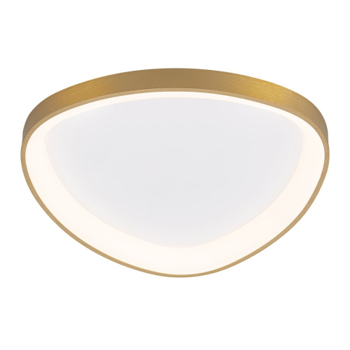 Потолочный светодиодный светильник Citilux Genka Smart CL756A142 фото 2