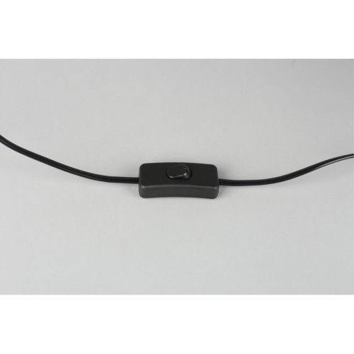 Настольная лампа OML-19314-01 фото 2