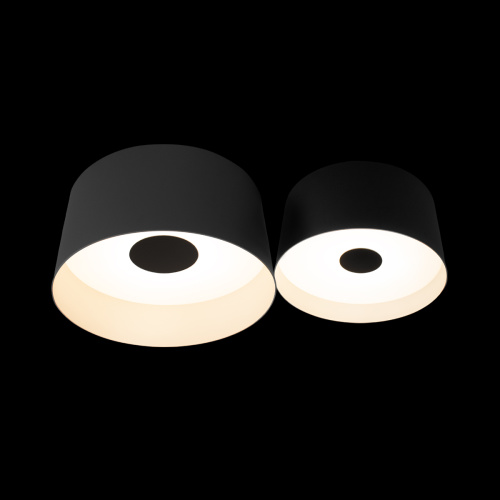 10360/2 Потолочный светильник LOFT IT Duo фото 2