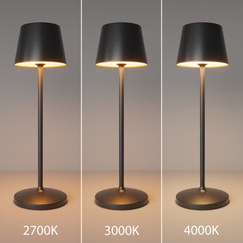 Аккумуляторный светильник Maytoni MOD494RL-L1BK фото 5