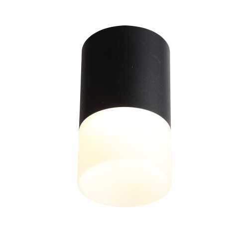 ST100.402.05 Светильник потолочный Черный LED 1*5W 3000K 390Lm Ra>80 120° D64xH110 170-240VV Накладные светильники фото 2