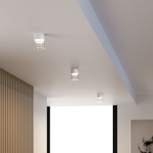 Светильник потолочный светодиодный 10W 4000К белый 25047/LED фото 2
