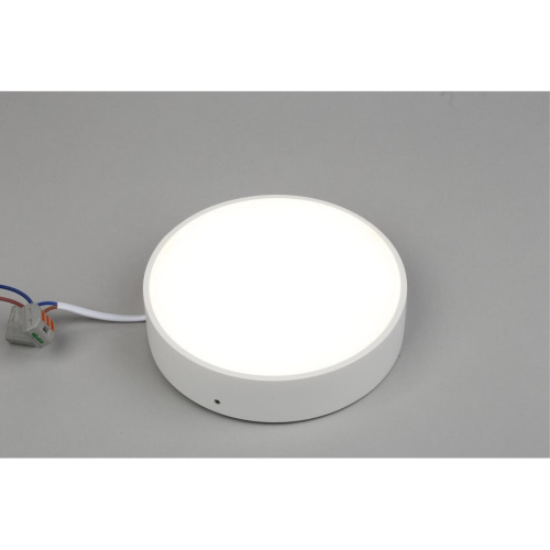 Светильник настенно-потолочный APL.0114.09.18 фото 4