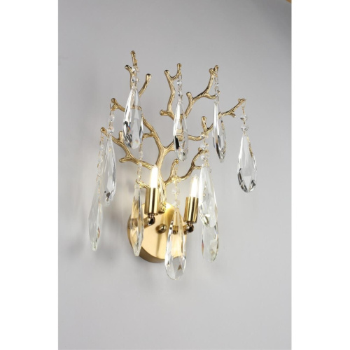 Светильник настенный (Бра) OML-52901-02 фото 6