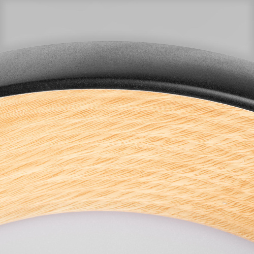 10255/500 Black Потолочный светильник LOFT IT Folk фото 4