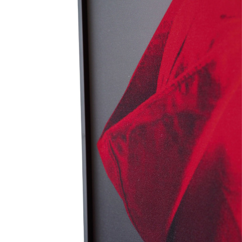 Декоративная картина FP Red Hat 80-120 фото 6 Декоративная картина FP Red Hat 80-120 фото 6