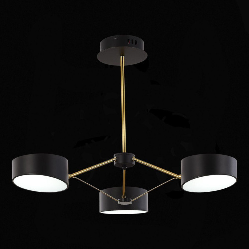 Потолочная светодиодная люстра Evoluce Valle SLE6005-402-03 фото 5