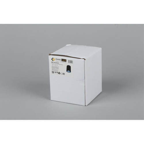 Светильник встраиваемый-накладной OML-101219-01 фото 3