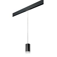 Комплект с трековым светильником Lightstar Rullo (214437+595857+202430) PRORP43730