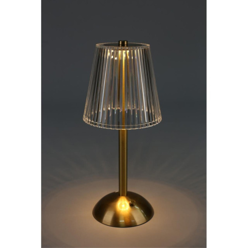 Настольная лампа OML-40004-01 фото 5 Настольная лампа OML-40004-01 фото 5