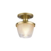 Потолочный светильник для ванных комнат Quoizel, Арт. QZ-DUBLIN-SF-PNBR