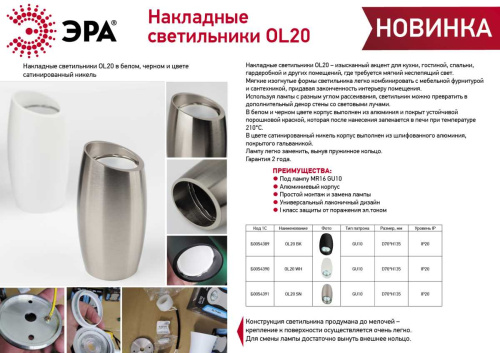 Настенно-потолочный светильник ЭРА OL20 BK Б0054389 фото 7
