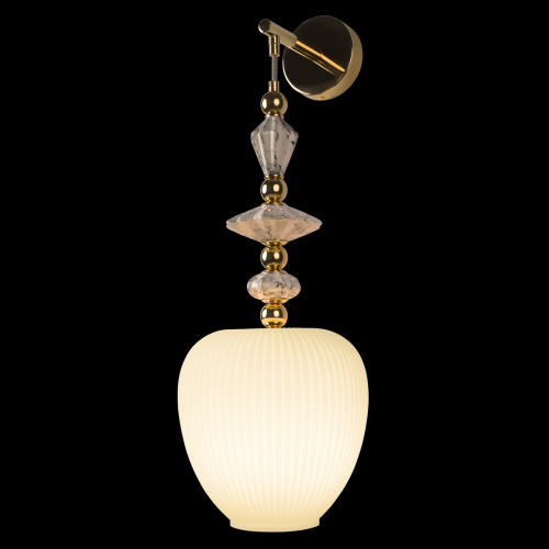 10365W/A Настенный светильник LOFT IT Family фото 2